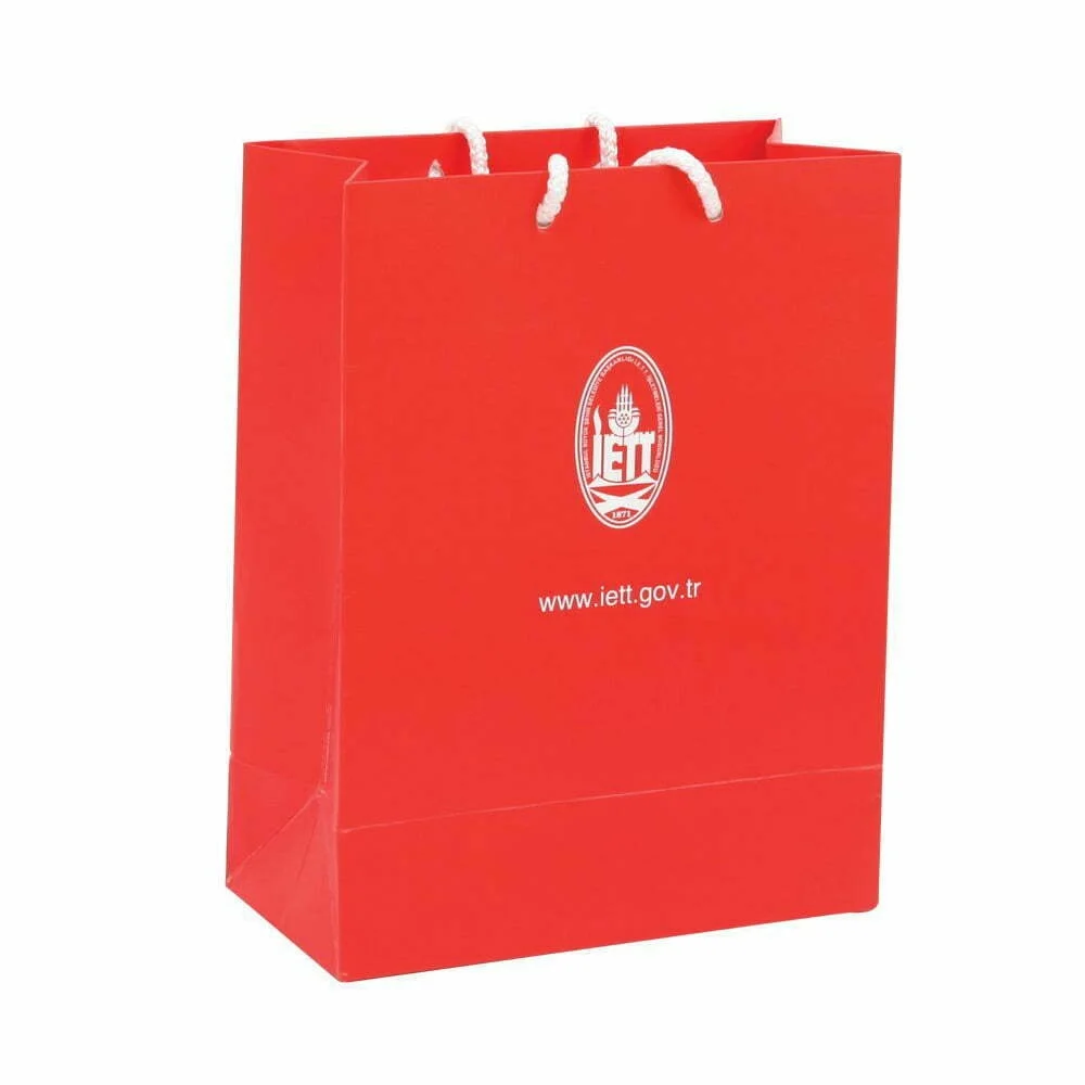 Promotional Cardboard Bag 28x22x10 cm