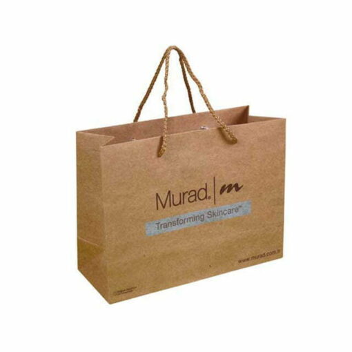 Kraft Bag 51x34x14 cm